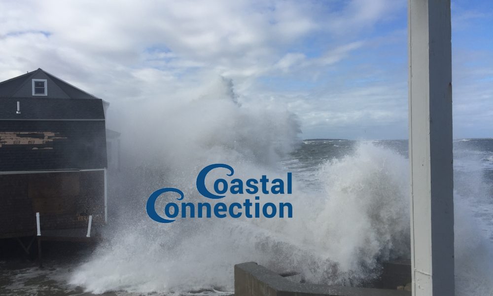 Risk Rating 2.0: A Success Story